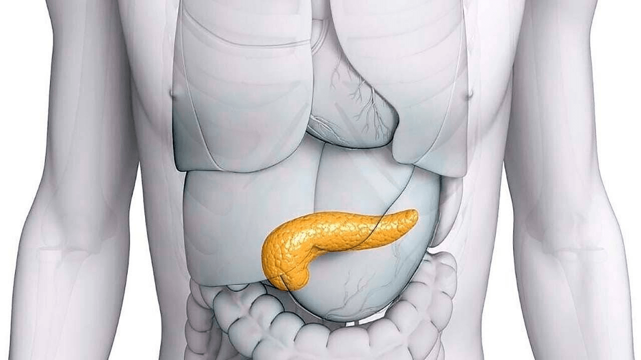 A healthy pancreas after taking Glucoren