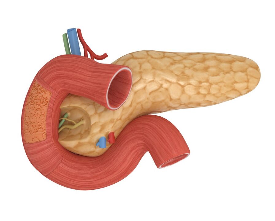 Good sensitivity to pancreatic insulin after taking Glucoren