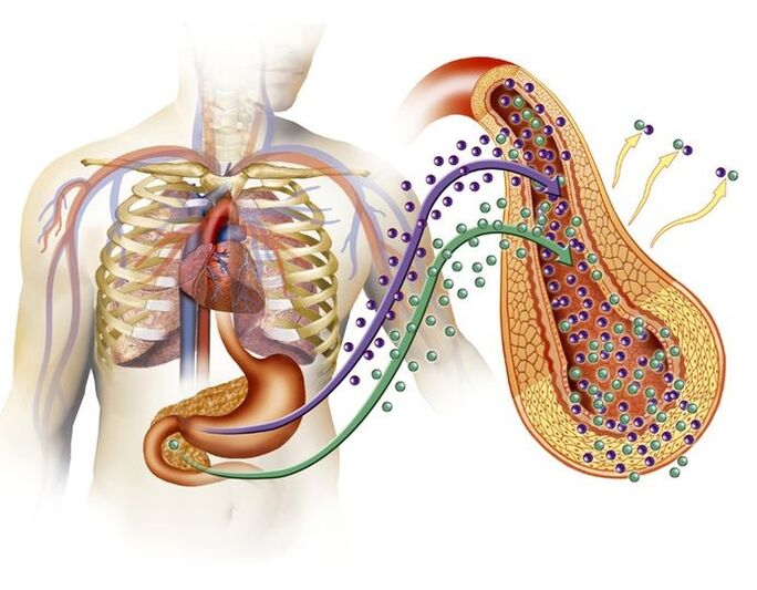 Normal insulin production after taking Glucoren
